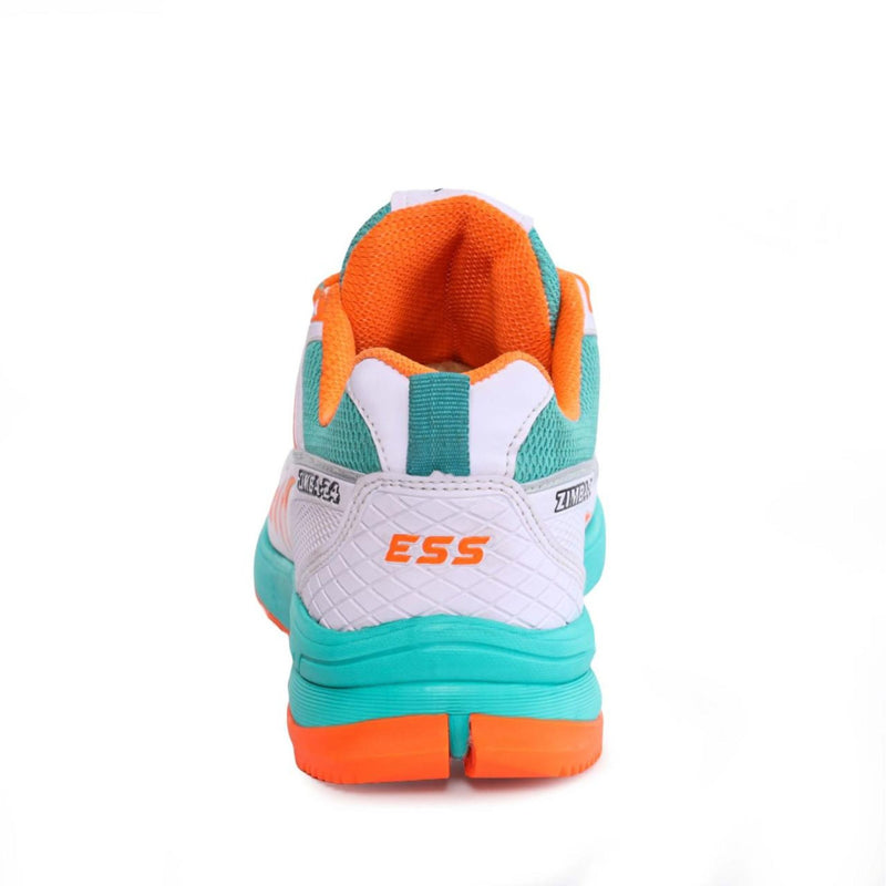 ESSboost Zimba S24- White Sea Green Blue