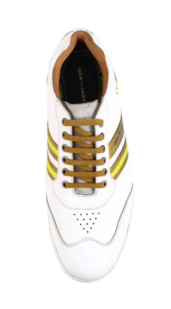 Aquel  White / Yellow